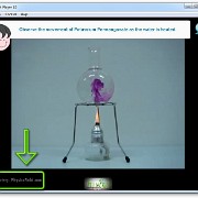 Convection_in_water_game_10